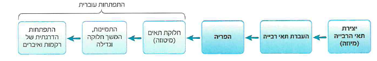 (בספר תרשים)